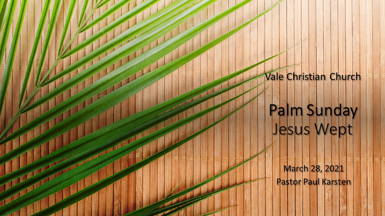 Palm Sunday - Jesus Wept Image